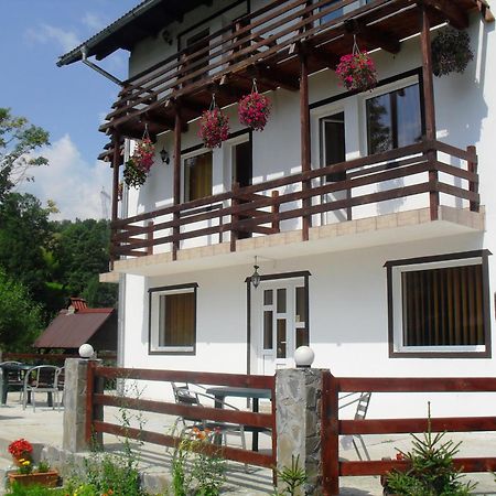 Vila Doina Branului Bran  Extérieur photo