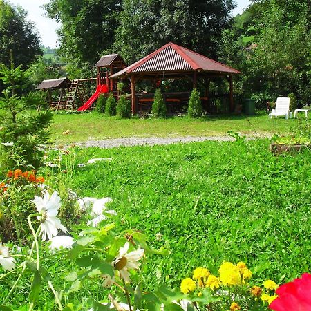 Vila Doina Branului Bran  Extérieur photo