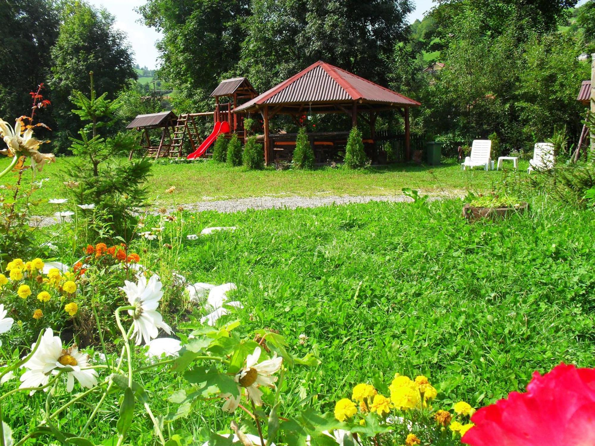 Vila Doina Branului Bran  Extérieur photo