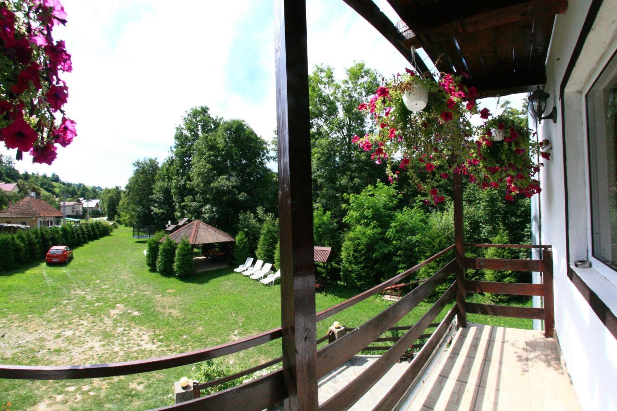 Vila Doina Branului Bran  Extérieur photo