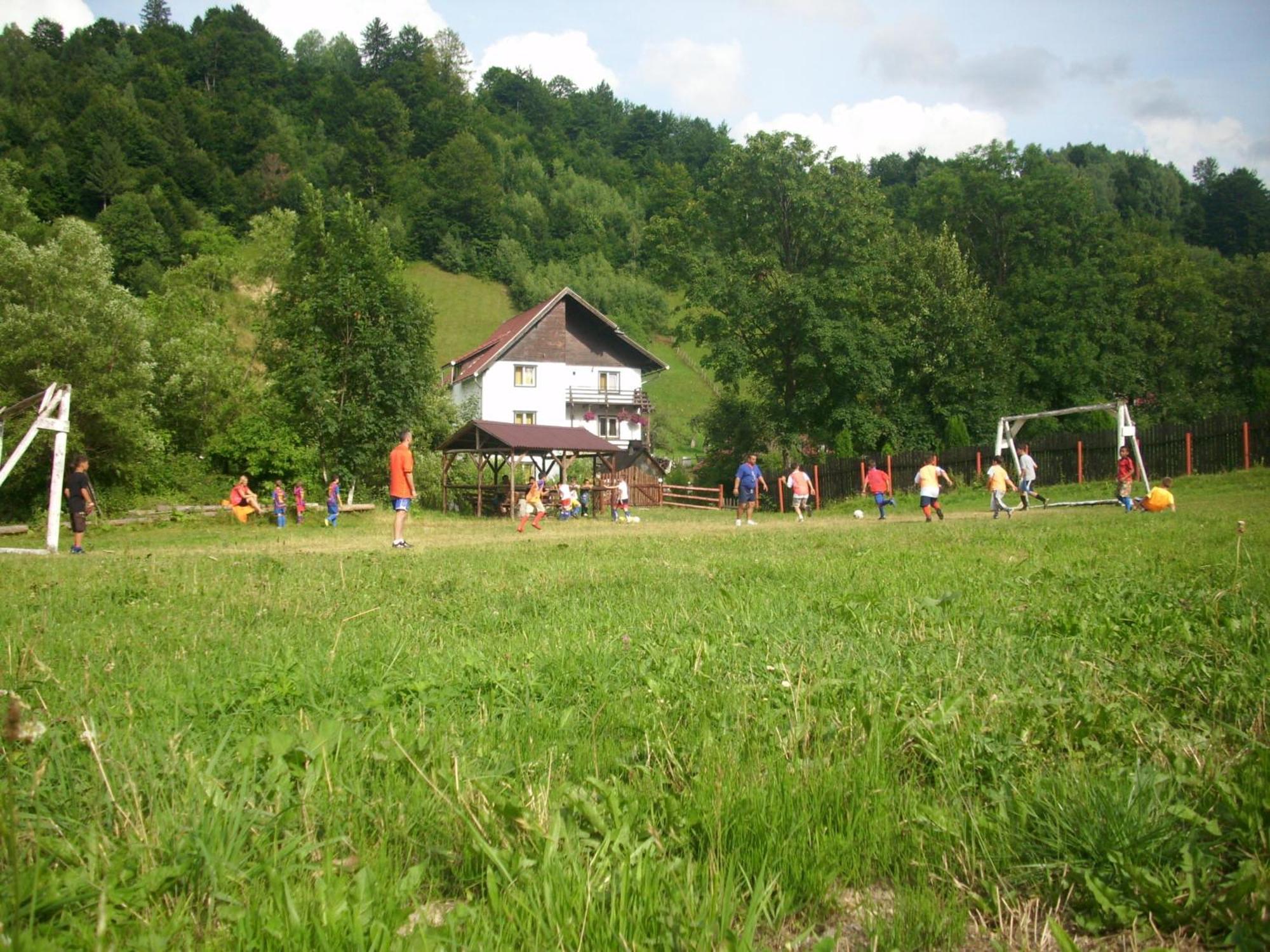Vila Doina Branului Bran  Extérieur photo