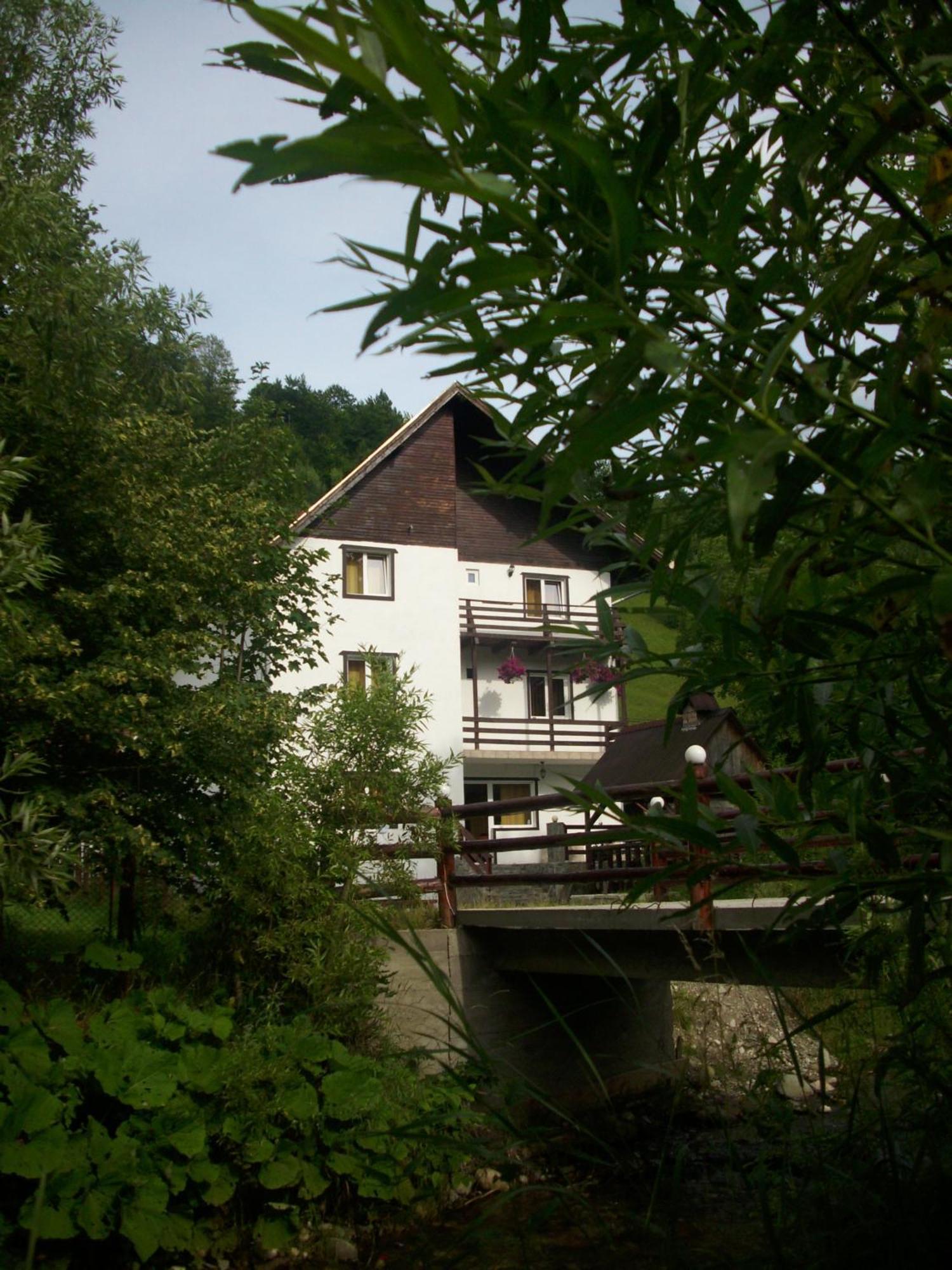 Vila Doina Branului Bran  Extérieur photo