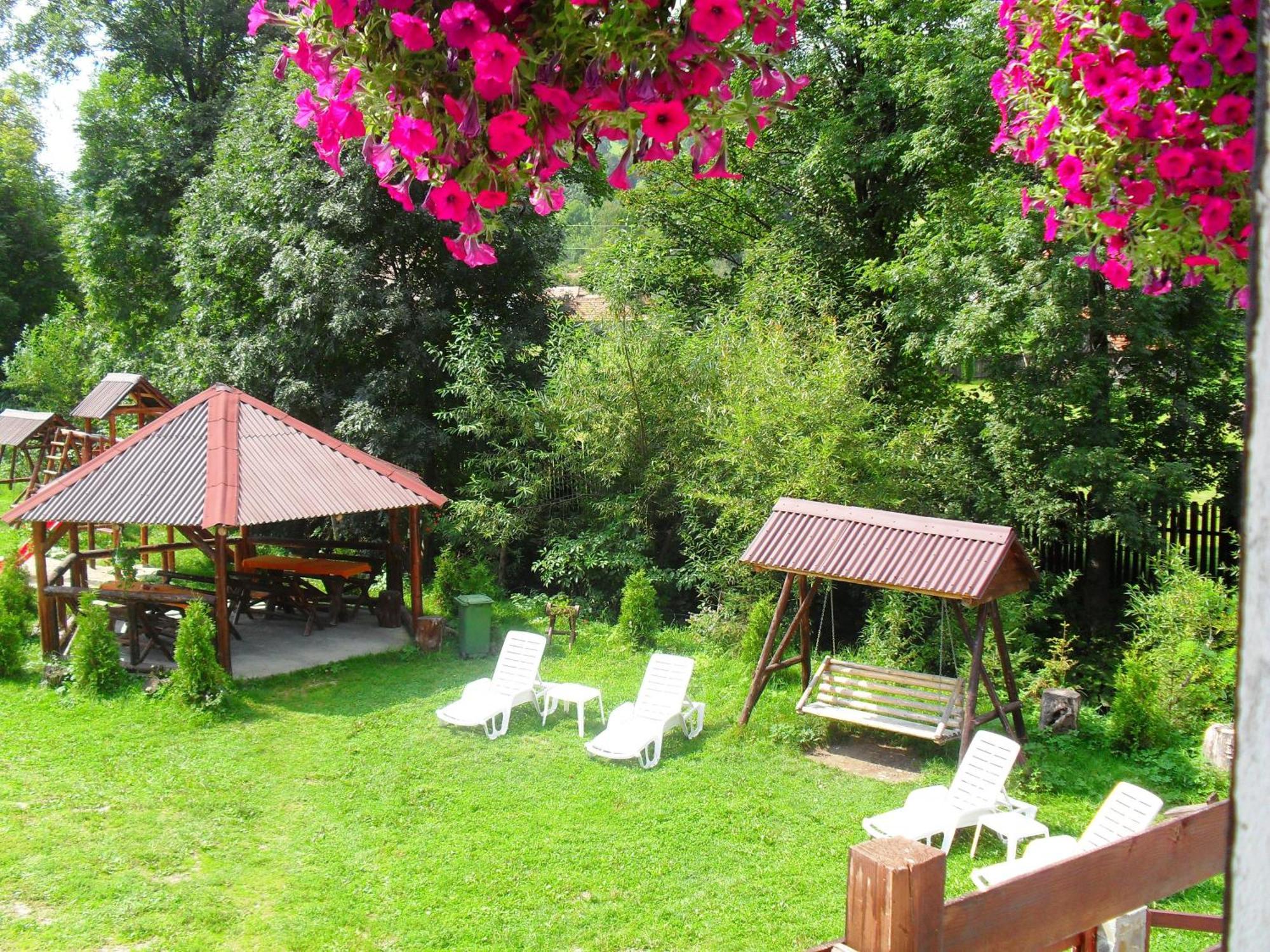 Vila Doina Branului Bran  Extérieur photo