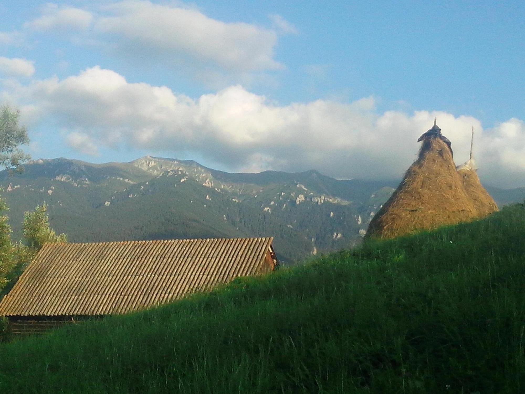 Vila Doina Branului Bran  Extérieur photo