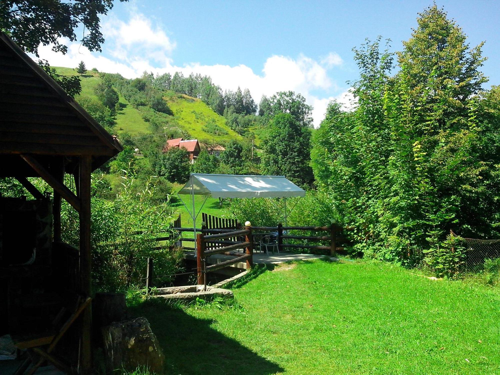 Vila Doina Branului Bran  Extérieur photo