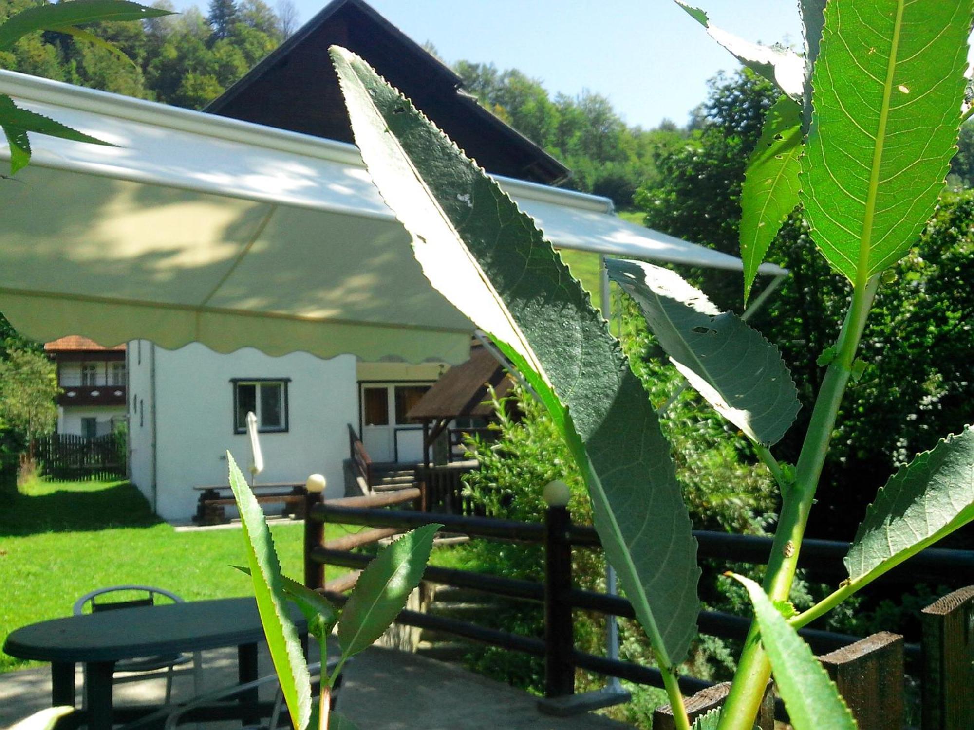 Vila Doina Branului Bran  Extérieur photo