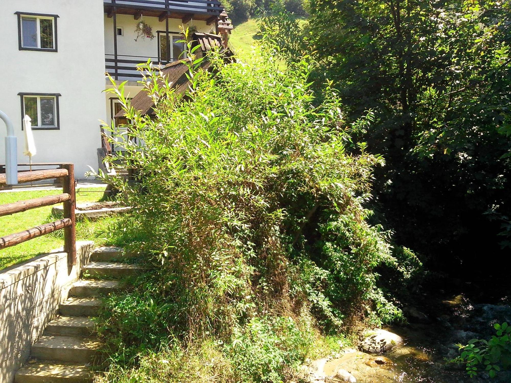 Vila Doina Branului Bran  Extérieur photo
