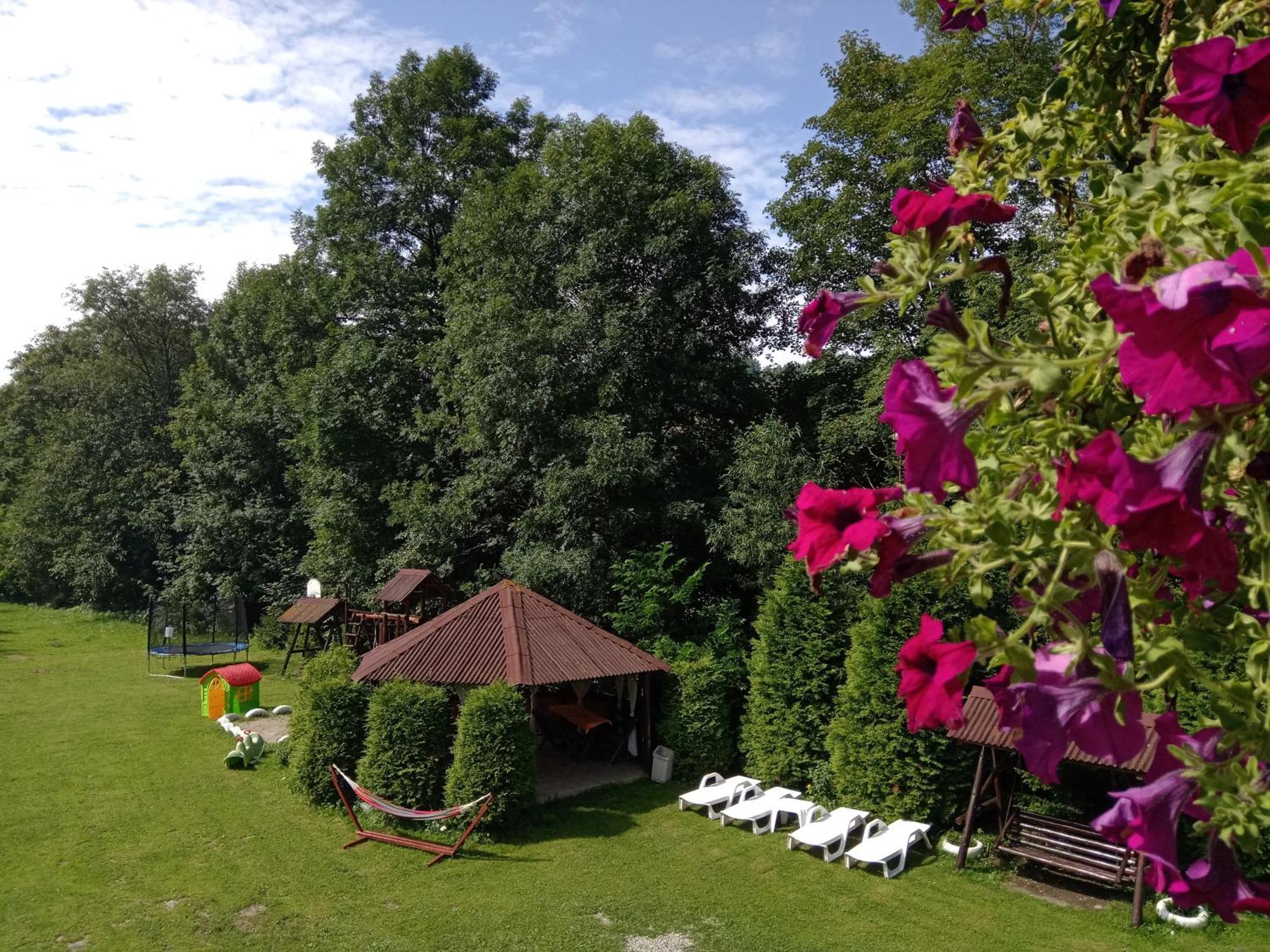 Vila Doina Branului Bran  Extérieur photo
